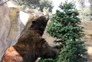Fun & Free Things to Do This Weekend with LA Kids: Merry-Go-Round, Sing-A-Long, and TWO Giveaways! Dec. 17 - 18