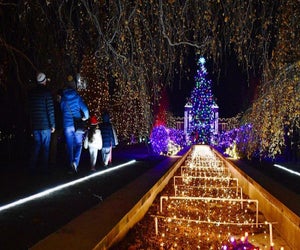 Untermyer Gardens Conservancy's Grand Holiday Illumination has become a Yonkers tradition. Photo courtesy of the conservancy