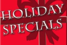 Holiday Deals: NYBG Holiday Train Show, Live Theater, Music Lessons and More