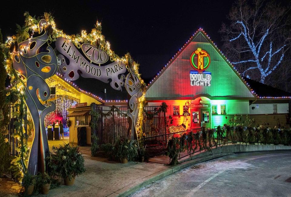 With lights, treats, and live entertainment, Wild Lights has something festive for everyone! Photo courtesy of the Elmwood Park Zoo