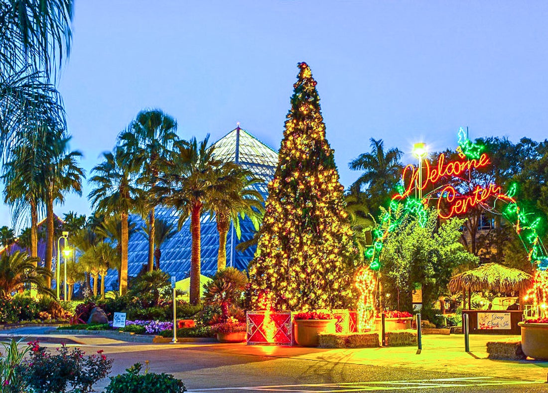 Photo courtesy of Moody Gardens