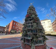 From the streets of Portland to the shops in Freeport, find holiday fun on a 3-day Christmas trip to Maine!