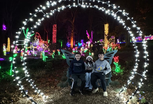 What's Open on Thanksgiving in DC: Meadowlark's Winter Walk of Lights