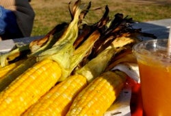 Kid Activities In The Hamptons And North Fork This Weekend: July 13-14
