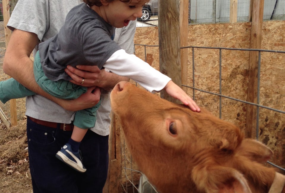 6 Places to Feed a Goat, Ride a Pony, Pet a Pig and More in the Hamptons & North Fork