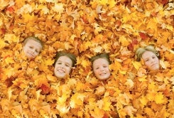 Mostly Free and Fun Things to do in CT with Kids This Weekend October 19-20: Fairs, Frights and an Enchanted Forest