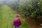 Mostly Free & Fun Things To Do With NJ Kids This Weekend Sept 20-21: Oktoberfest, Fall Farm Fun, Storytelling Festival & More!