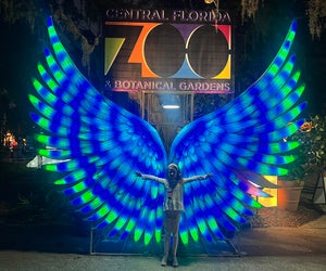 The Asian Lantern Festival at Central Florida Zoo kicks off this weekend and runs through January 2026! Photo by author