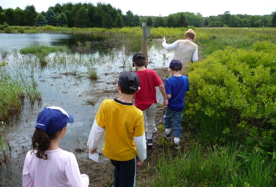Nature Walks for Kids and Families on Long Island