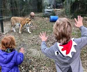 Don't miss out on all the free fun opportunities around New Jersey. Photo by Lisa Warden