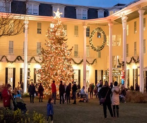 Take in the Christmas tree at Congress Hall this holiday season. Photo courtesy of Cape Resorts