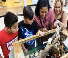 Reptile lovers and other animal aficionados will have a blast at Super Pet Expo. Photo courtesy of the expo