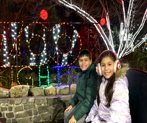 The Turtle Back Zoo holiday lights show in West Orange is one of our top picks for family fun this Christmas. Photo by Kaylynn Ebner