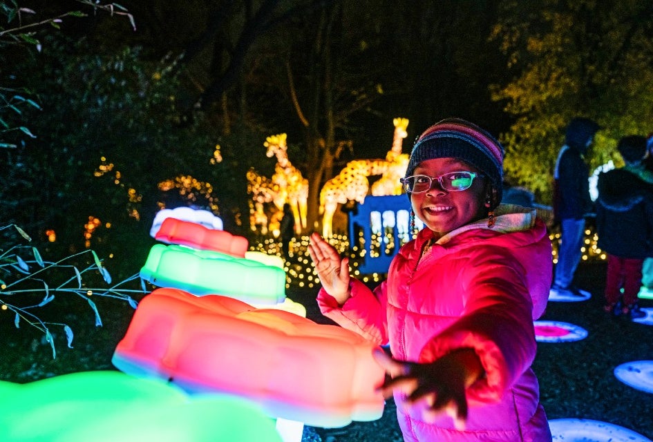 The Bronx Zoo comes to life after dark during its annual Holiday Lights event. Photo by Terria Clay/courtesy of the Bronx Zoo