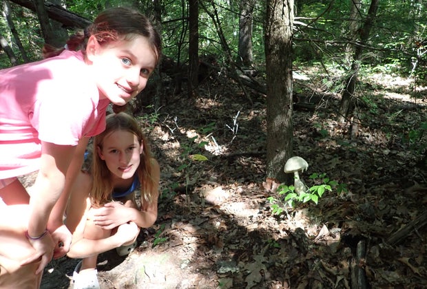 New River Gorge with Kids: Park Loop Trail