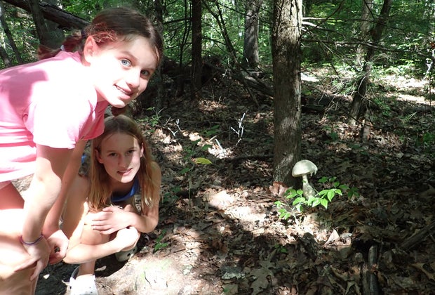 New River Gorge with Kids: Park Loop Trail