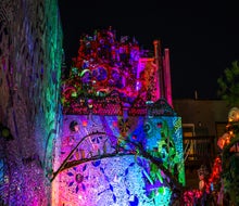 The Magic Gardens are lit up for a festive new look after dark. Photo by Pinball Photos LLC