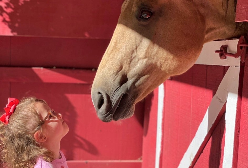 Sensory Staples lets kids get close to a variety of farm animals, including its friendly horses. Photo courtesy of Sensory Stables