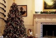 Six Fun Things to Do during Christmas Week in NJ