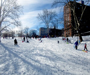 When the flakes fly, Central Park is full of great sledding hills! Photo by Jody Mercier
