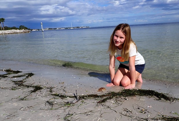 St. Petersburg, Florida beach