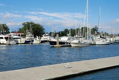 Things to Do This Weekend in Westchester: River Festival, Block Party, Family Workshops and More July 20 & 21