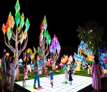 The Tianyu Lights Festival opens this weekend in Grand Prairie. Photo courtesy Tianyu Lights Festival