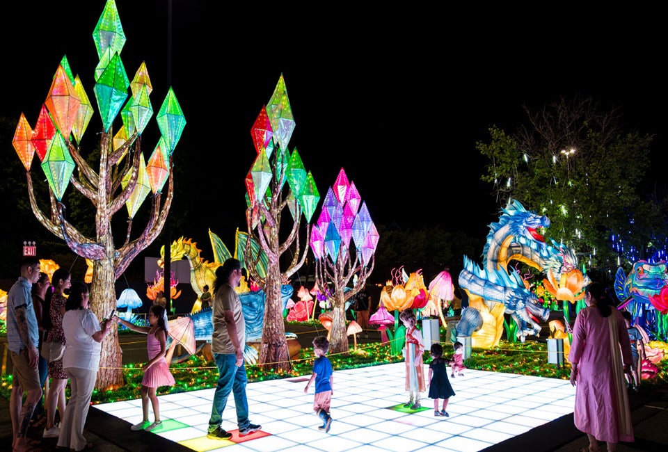 The Tianyu Lights Festival opens this weekend in Grand Prairie. Photo courtesy Tianyu Lights Festival