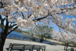 This Week: Free Spring Festivals, Best New Theater Shows for NYC Kids, Tribeca Film Festival for Families