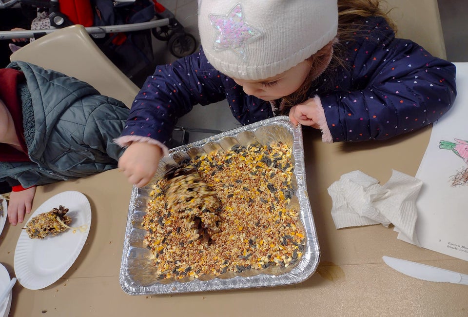 Make a bird feeder at Ladson Park this weekend. Photo courtesy of Lasdon Public Gardens
