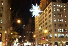 Weekly Wrap Up: All Holiday Edition: Light Displays, Shows, Offbeat Family Fun