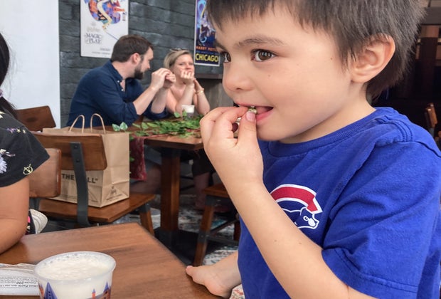 Harry Potter: Magic at Play, Chicago