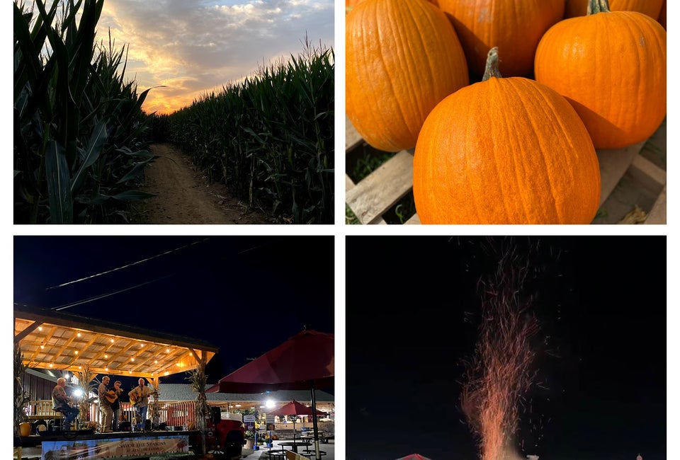 Harvest Moon Nights at Alstede Farms