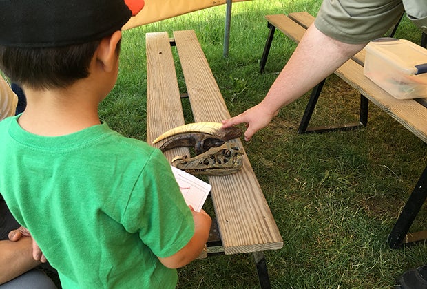 Field Station: Dinosaurs hands-on discovery