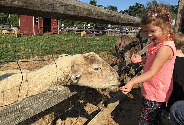 Alstede Farms offers a petting zoo and so much more