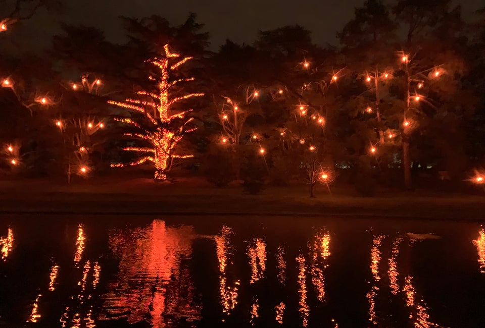 A Longwood Christmas