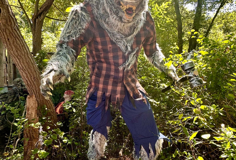 Ghosts, Witches & Dinosaurs Haunted Forest