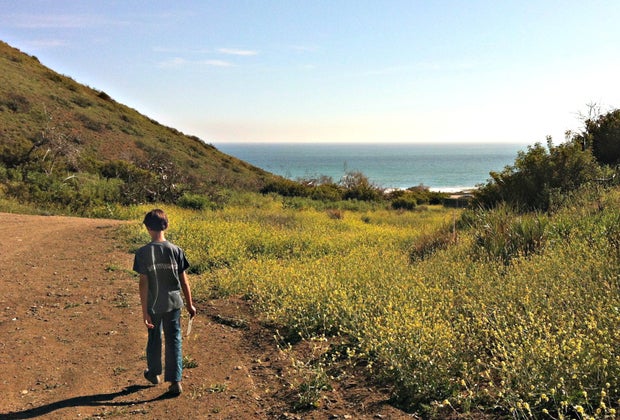 Best Wildflower Hikes near Los Angeles: Point Dume in Malibu