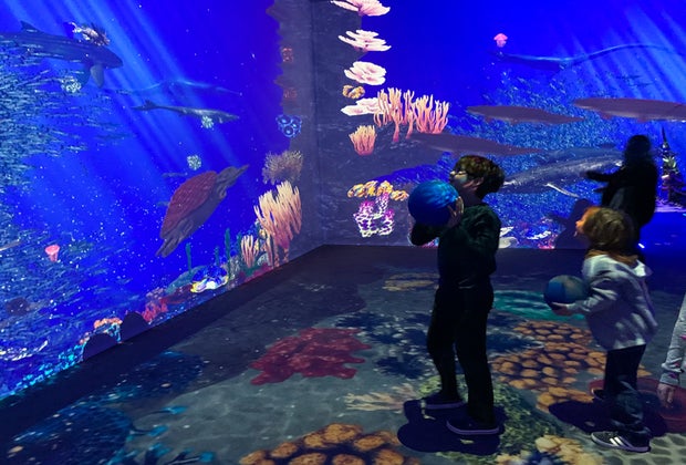 Dinos Alive: Immersive Experience in Washington, DC: underwater ocean room