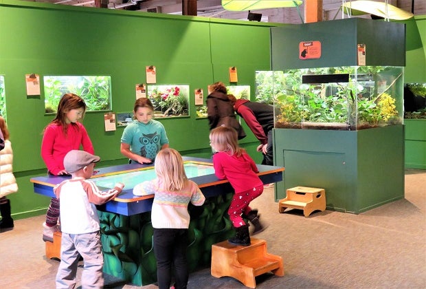 Photo of kids at Maritime Aquarium learning station.