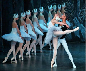 Delight in the artistry of Swan Lake. Photo courtesy of the National Theatre