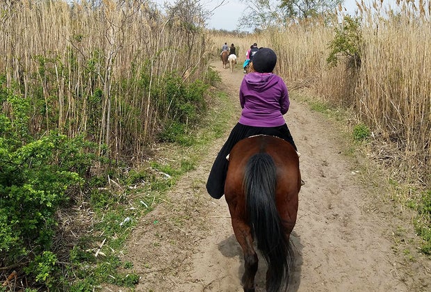 Jamaica Bay Riding Academy: Horseback Riding in NYC