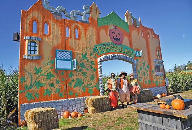 Pumpkin patches near Long Island Harbes Farm in Jamesport