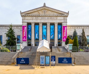 John G Shedd Aquarium photo by Ajay Suresh via Flickr (CC BY-NC-ND 2.0)