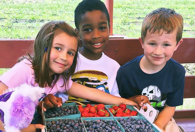 Strawberry picking near NYC: Johnson's Corner Farm