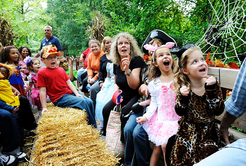 Best Events This Fall for NYC Preschoolers Get spooky at the Bronx Zoo's Boo at the Zoo. Photo by Julie Larsen Maher for WCS