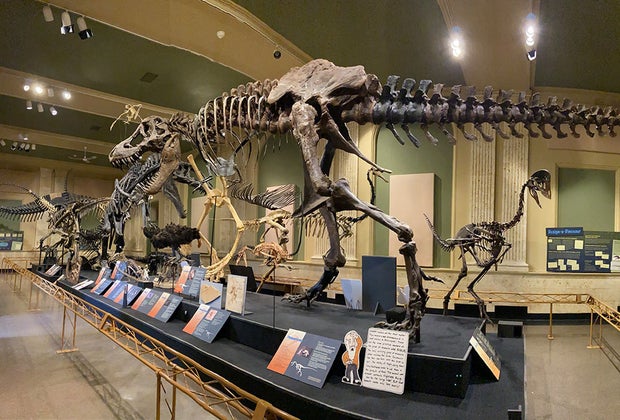 Family-Friendly Summer Weekend Getaways near Chicago: Kenosha