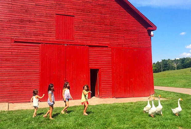 Family-friendly hotels in the Hudson Valley: Kids near a barn with geese at Kinderhook Farm
