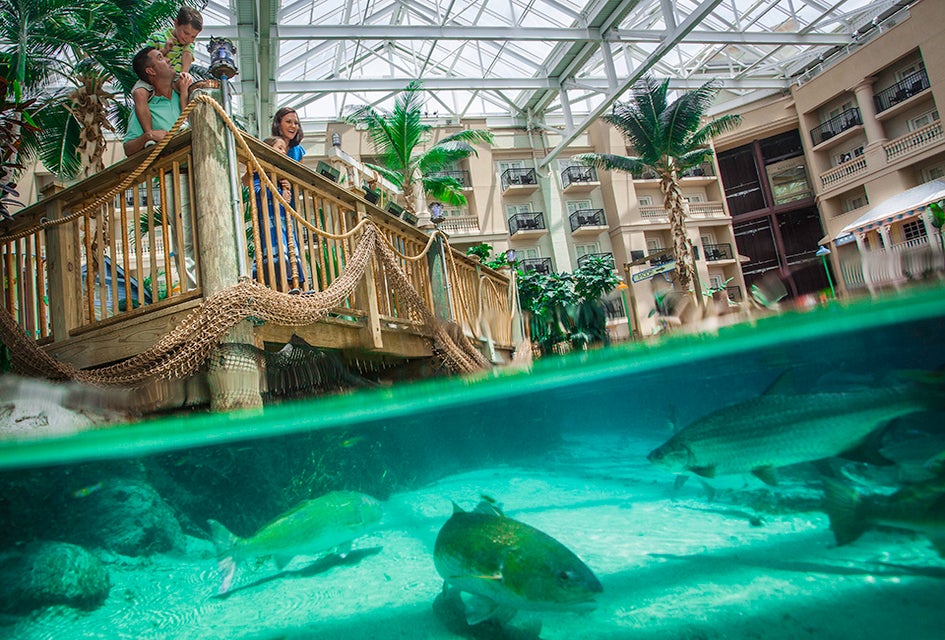 Nab a Gaylord Palms Resort Guess Pass and spend the day enjoying the water park, dining options, and other amenities. Photo courtesy of Marriott Gaylord Palms 