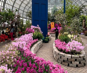 Photo courtesy of Garfield Park Conservatory
